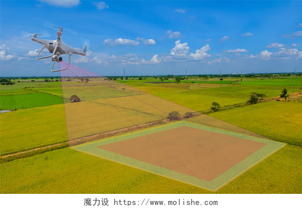 航拍绿色农田聪明的农民使用无人机的各种领域。无人机用于农业和用于各种领域。使用数码相机飞行的无人机直升机。带高分辨率数码相机的无人机.